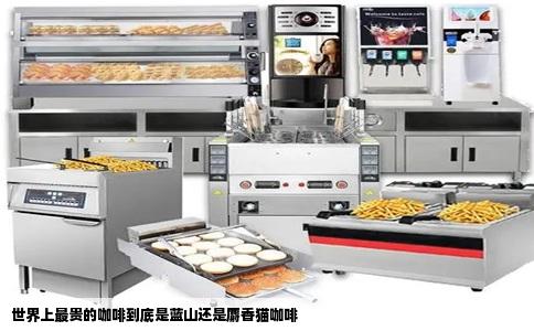 世界上最贵的咖啡到底是蓝山还是麝香猫咖啡
