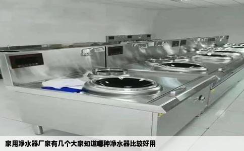 家用净水器厂家有几个大家知道哪种净水器比较好用