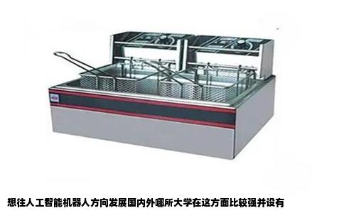 想往人工智能机器人方向发展国内外哪所大学在这方面比较强并设有