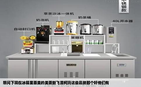 想问下现在冰箱里面美的美菱新飞澳柯玛这些品牌那个好他们有