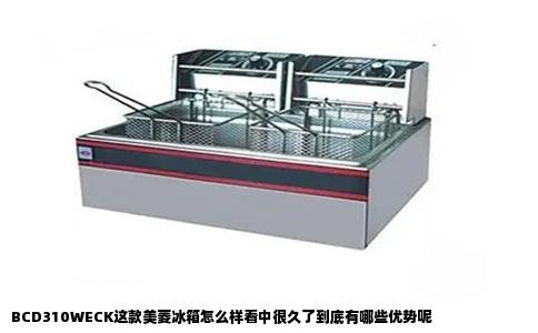 BCD310WECK这款美菱冰箱怎么样看中很久了到底有哪些优势呢