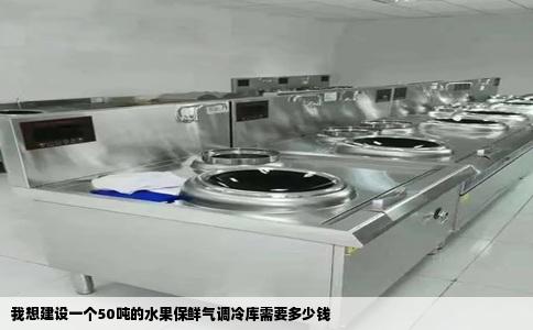 我想建设一个50吨的水果保鲜气调冷库需要多少钱