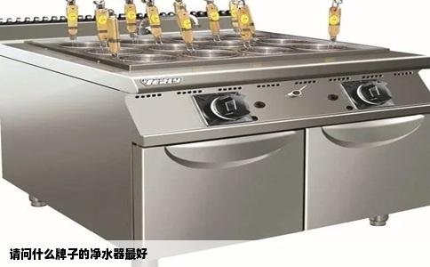 请问什么牌子的净水器最好