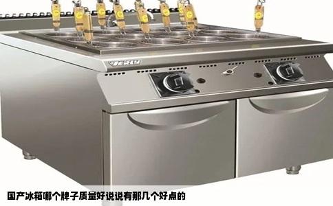 国产冰箱哪个牌子质量好说说有那几个好点的