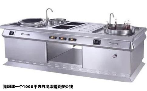我想建一个1000平方的冷库需要多少钱