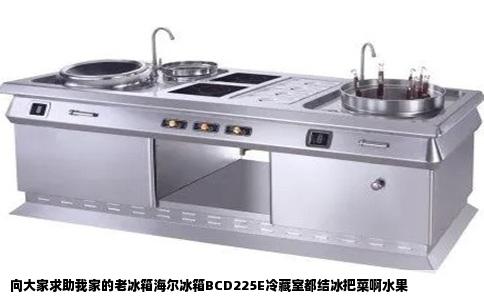 向大家求助我家的老冰箱海尔冰箱BCD225E冷藏室都结冰把菜啊水果