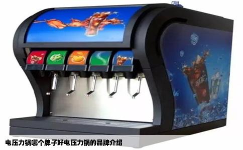 电压力锅哪个牌子好电压力锅的品牌介绍