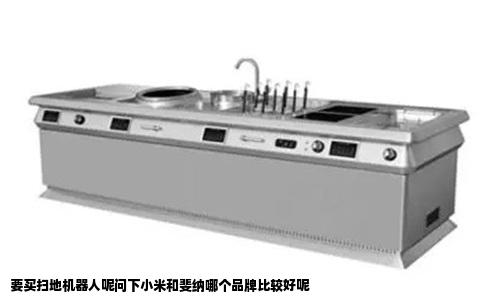 要买扫地机器人呢问下小米和斐纳哪个品牌比较好呢