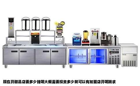 现在开甜品店要多少钱呢大概需要投资多少就可以有加盟店开呢跪求