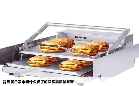 我想买台净水器什么牌子的又实惠质量又好