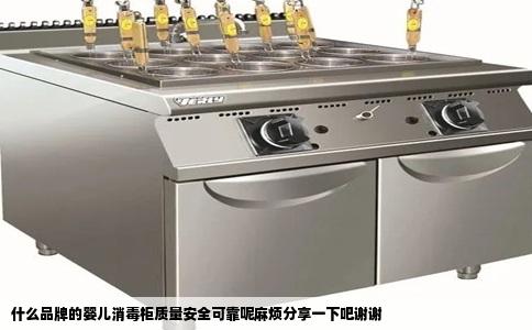 什么品牌的婴儿消毒柜质量安全可靠呢麻烦分享一下吧谢谢