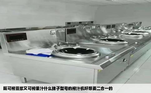 既可榨豆浆又可榨果汁什么牌子型号的榨汁机好想要二合一的