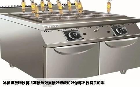 冰箱里放啥饮料冷冻最后效果最好碳酸的好像都不行其余的呢
