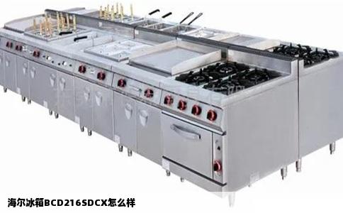 海尔冰箱BCD216SDCX怎么样
