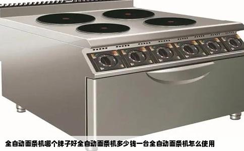 全自动面条机哪个牌子好全自动面条机多少钱一台全自动面条机怎么使用