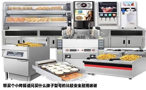 想买个小烤箱请问买什么牌子型号的比较安全耐用谢谢