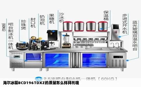 海尔冰箱BCD196TDXZ的质量怎么样拜托哦