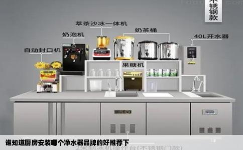 谁知道厨房安装哪个净水器品牌的好推荐下