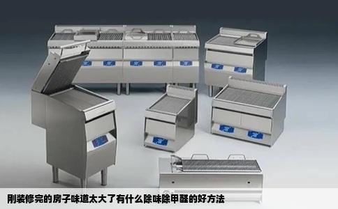 刚装修完的房子味道太大了有什么除味除甲醛的好方法