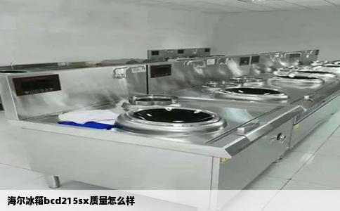海尔冰箱bcd215sx质量怎么样