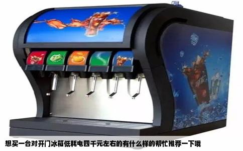 想买一台对开门冰箱低耗电四千元左右的有什么样的帮忙推荐一下哦