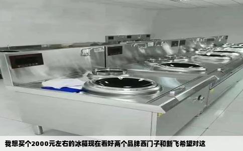 我想买个2000元左右的冰箱现在看好两个品牌西门子和新飞希望对这