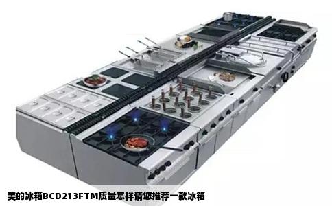 美的冰箱BCD213FTM质量怎样请您推荐一款冰箱