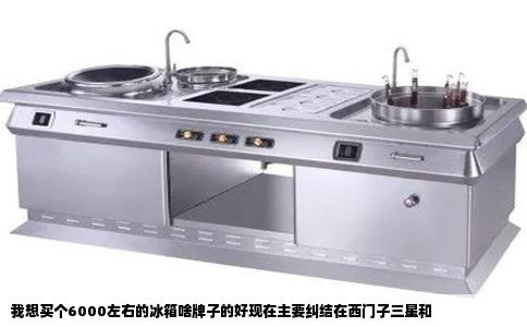 我想买个6000左右的冰箱啥牌子的好现在主要纠结在西门子三星和