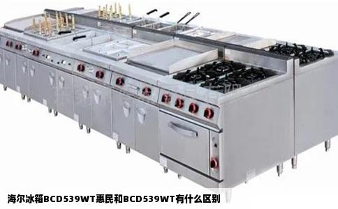 海尔冰箱BCD539WT惠民和BCD539WT有什么区别