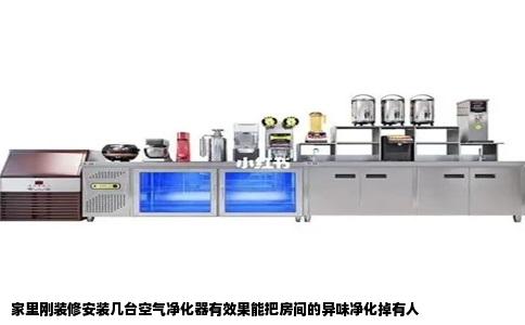 家里刚装修安装几台空气净化器有效果能把房间的异味净化掉有人