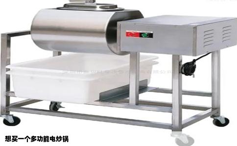 想买一个多功能电炒锅