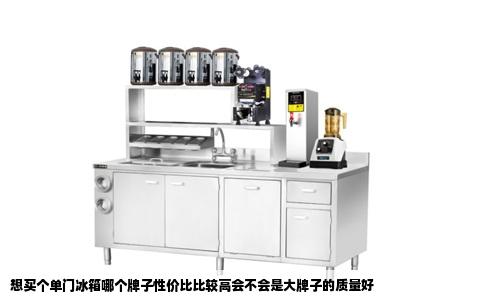 想买个单门冰箱哪个牌子性价比比较高会不会是大牌子的质量好