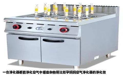 一台净化器都能净化空气中哪些杂物啊比如孕妈妈空气净化器的净化效