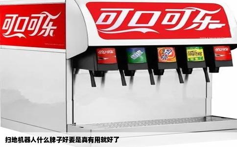 扫地机器人什么牌子好要是真有用就好了