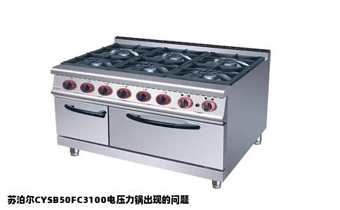 苏泊尔CYSB50FC3100电压力锅出现的问题