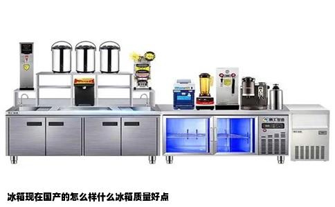 冰箱现在国产的怎么样什么冰箱质量好点