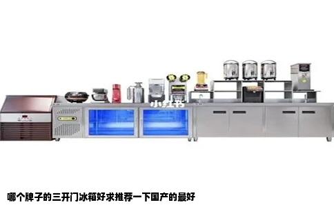 哪个牌子的三开门冰箱好求推荐一下国产的最好