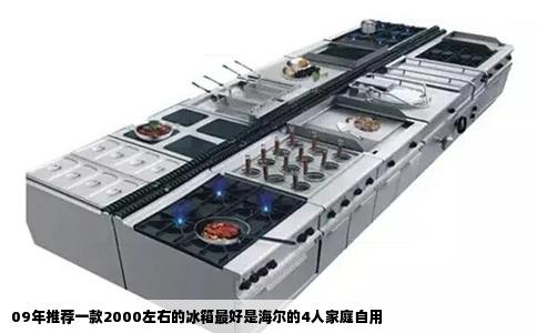 09年推荐一款2000左右的冰箱最好是海尔的4人家庭自用