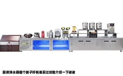厨房净水器哪个牌子好有谁买过给我介绍一下谢谢