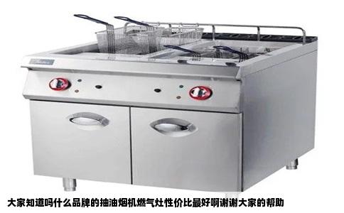 大家知道吗什么品牌的抽油烟机燃气灶性价比最好啊谢谢大家的帮助