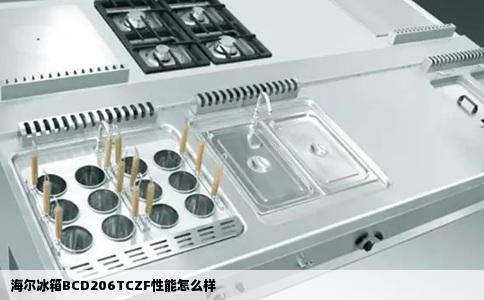 海尔冰箱BCD206TCZF性能怎么样