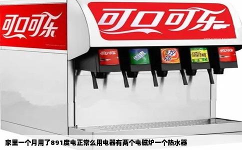 家里一个月用了891度电正常么用电器有两个电磁炉一个热水器