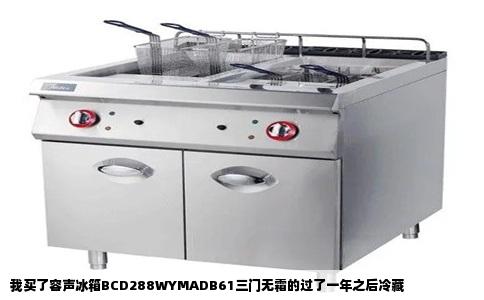 我买了容声冰箱BCD288WYMADB61三门无霜的过了一年之后冷藏