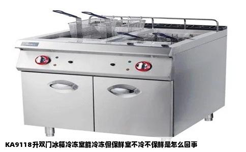 KA9118升双门冰箱冷冻室能冷冻但保鲜室不冷不保鲜是怎么回事