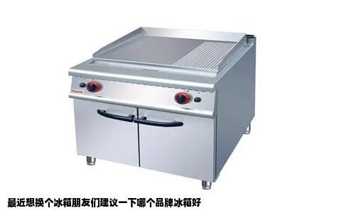 最近想换个冰箱朋友们建议一下哪个品牌冰箱好