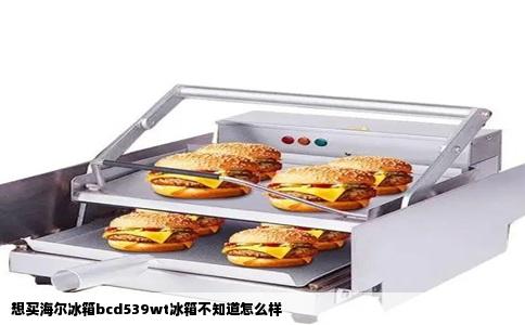 想买海尔冰箱bcd539wt冰箱不知道怎么样