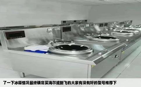 了一下冰箱情况最终确定买海尔或新飞的大家有没有好的型号推荐下