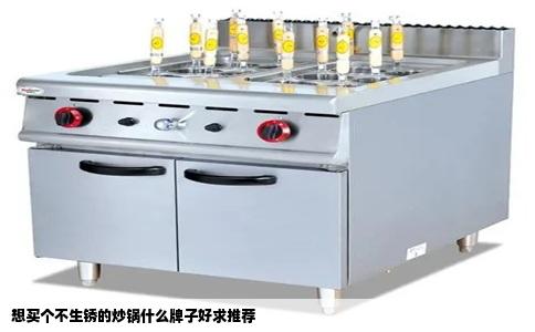 想买个不生锈的炒锅什么牌子好求推荐