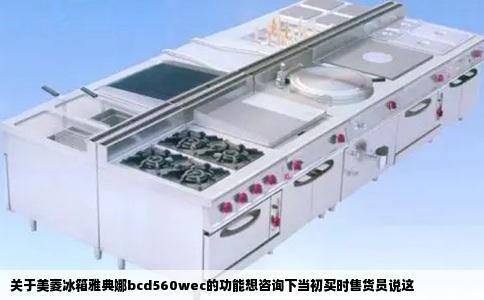 关于美菱冰箱雅典娜bcd560wec的功能想咨询下当初买时售货员说这