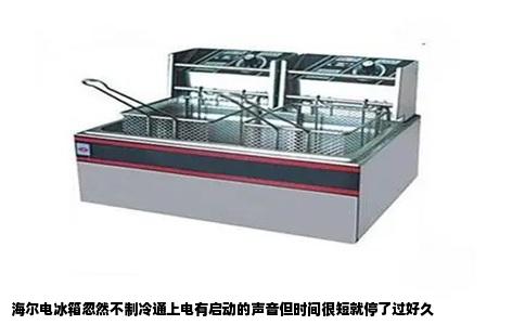 海尔电冰箱忽然不制冷通上电有启动的声音但时间很短就停了过好久